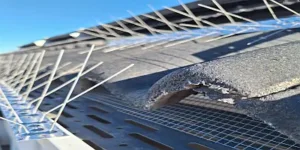 anti-pajaros y antihojas